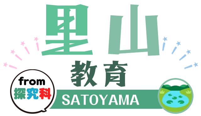 帝京大学小学校5つの柱 里山教育