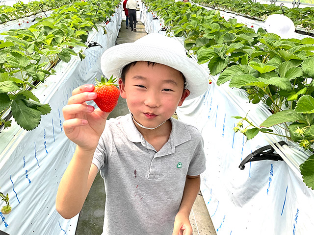 6月 セカンドスクール(3・4年生)その2